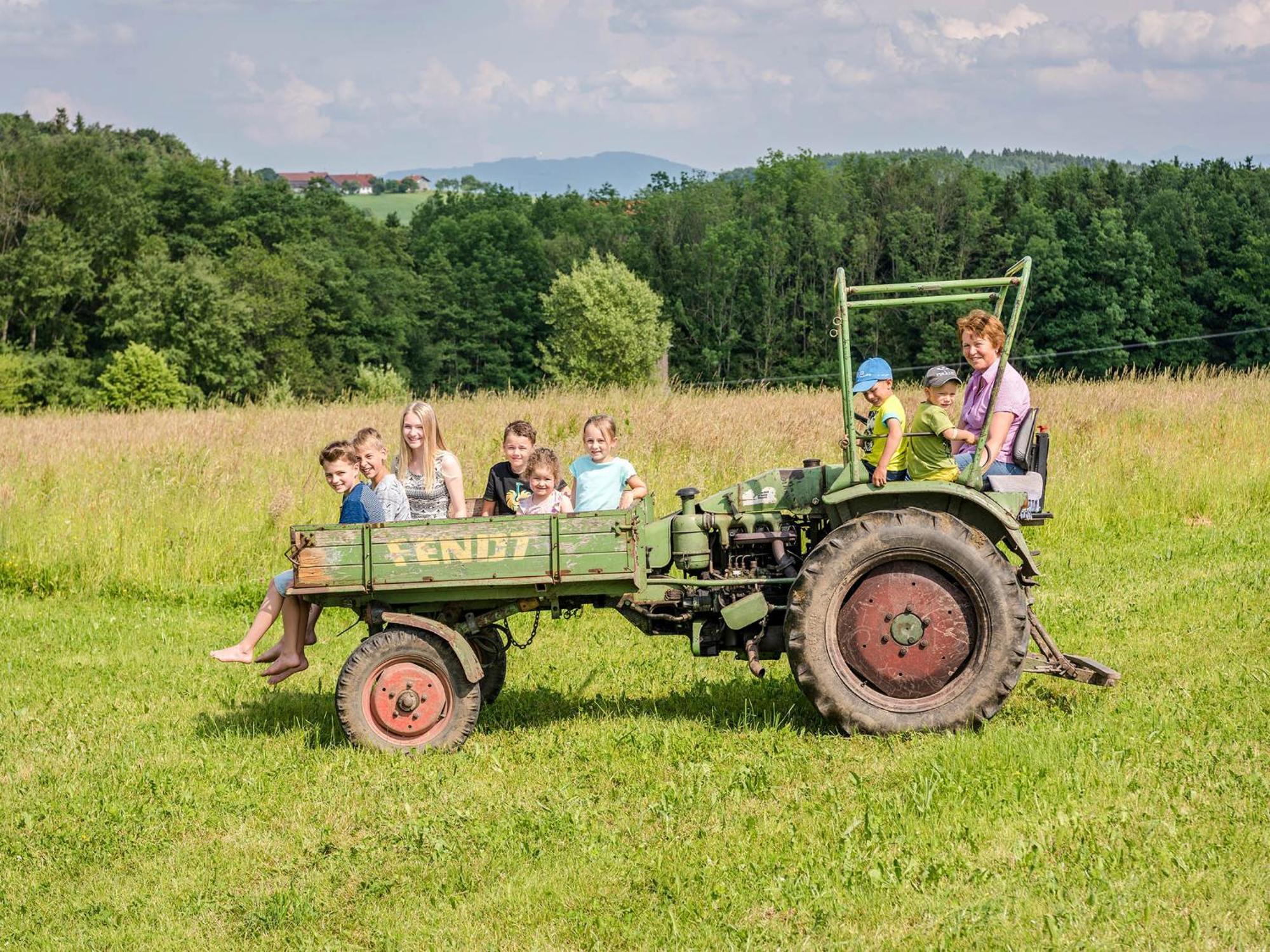Panoramahof Stief Villa Taching am See Eksteriør bilde